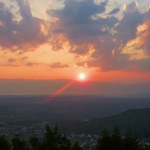 Meet your Posher, Dee